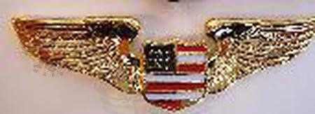 Gold Wing  w/USA Shield 3"x1"