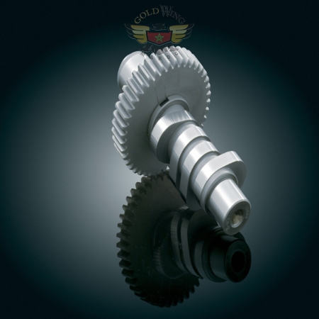 WILD THINGS ER-46 EVO CAM