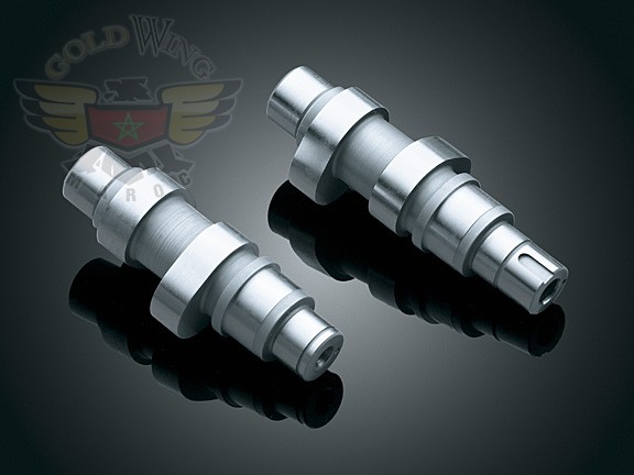 WILD THINGS TC-4G CAMS