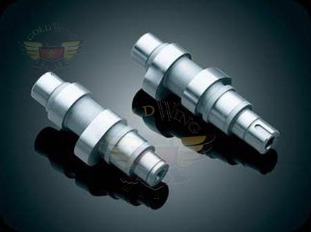 *WILD THINGS TC-546D CAMS